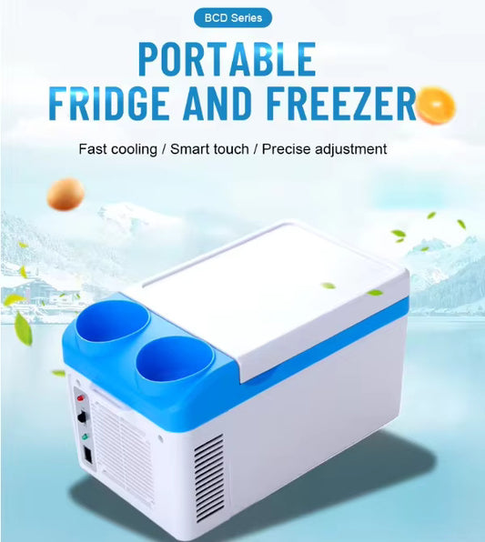 New 4L AC-DC Portable Box Mini Refrigerator | Travel Refrigerator | Skincare Fridge | Medicine Storage Fridge | Energy Efficient |For Car/Hotel/Bedroom